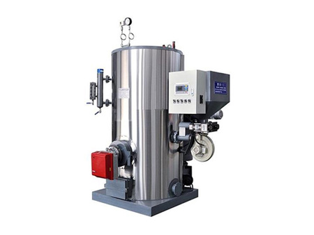 燃油氣生物質(zhì)兩用蒸汽發(fā)生器